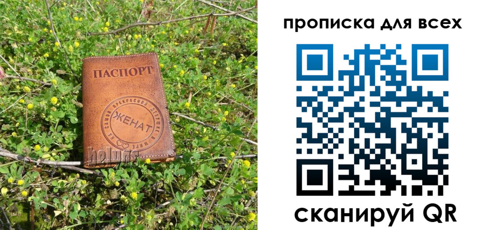 прописка поиск в Сураже